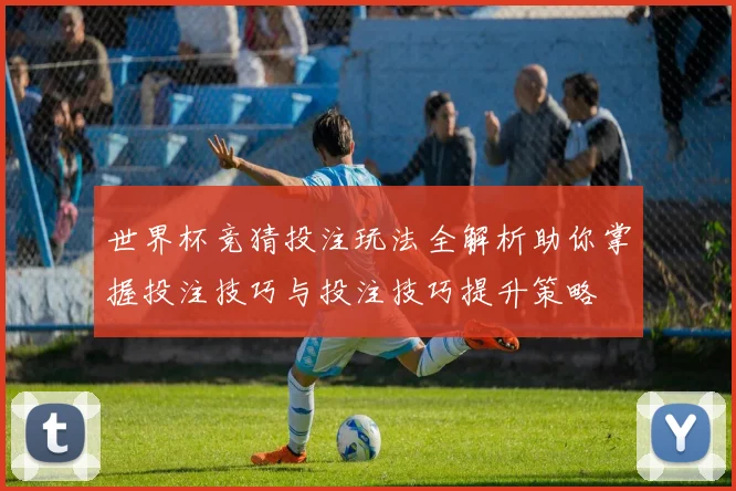 世界杯竞猜投注玩法全解析助你掌握投注技巧与投注技巧提升策略