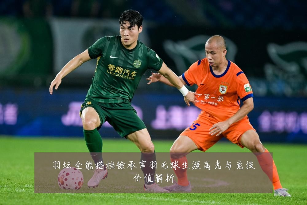 羽坛全能搭档徐承宰羽毛球生涯高光与竞技价值解析