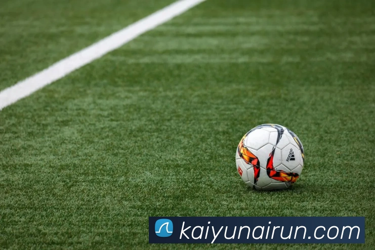 开云平台展示图